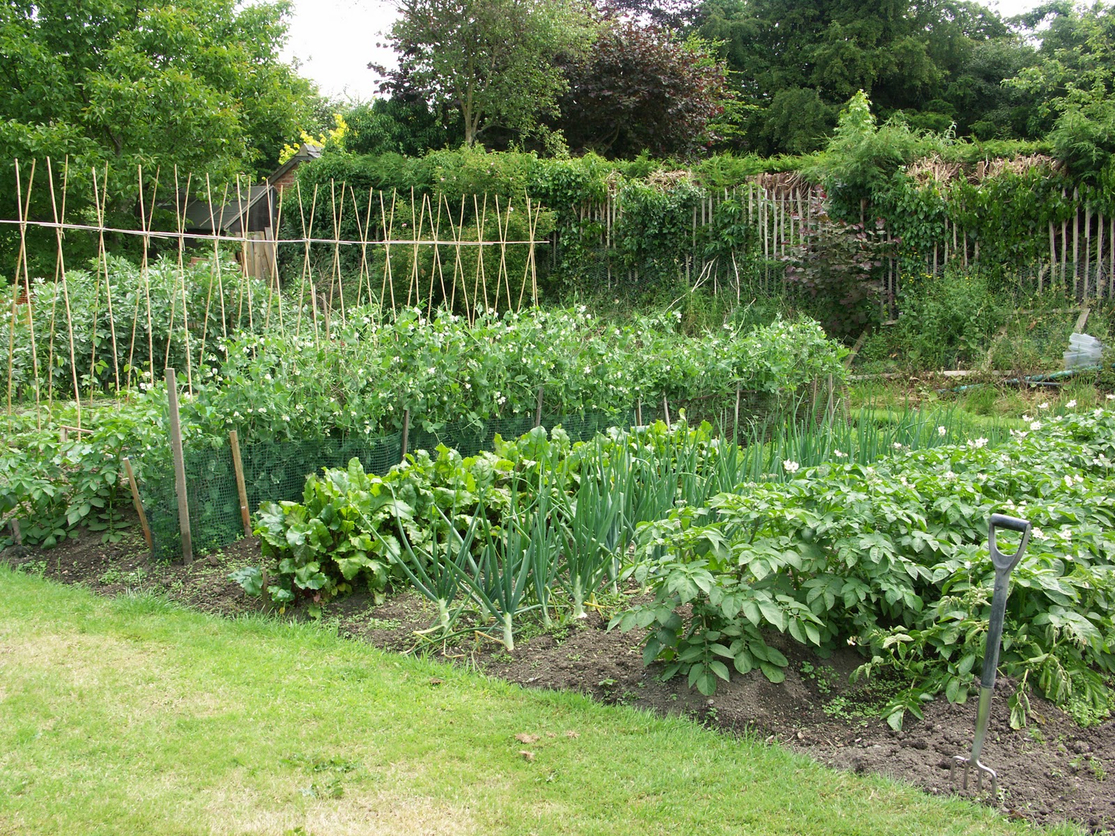 Allotment space available!
