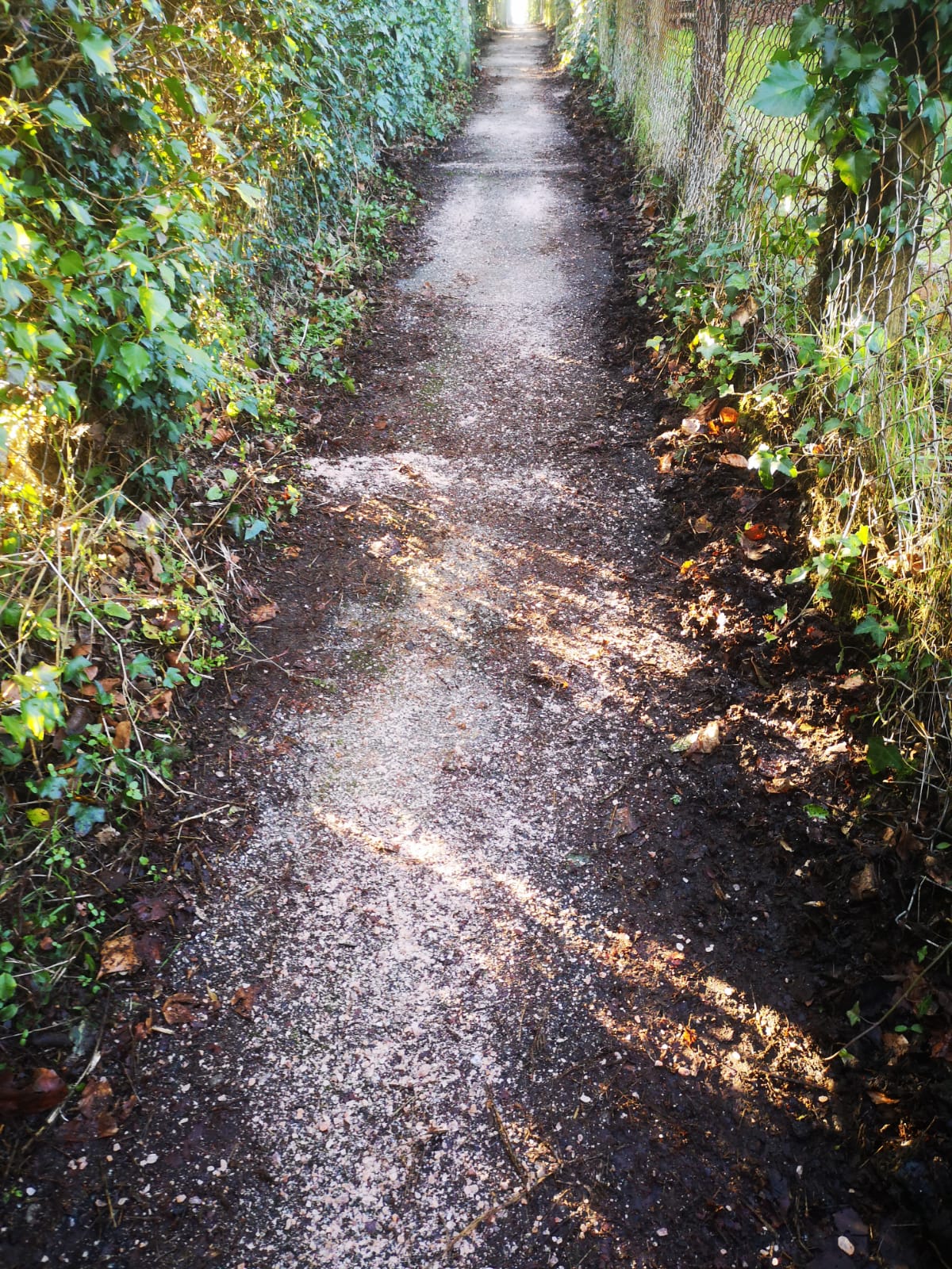 Link Footpath Cleared and Gritted!